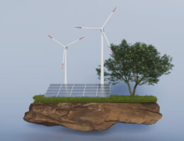 Solceller, vindkraft och träd i bild